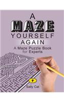 Maze Yourself Again