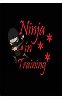 Ninja in Training: Funny Boys Ninja Notebook