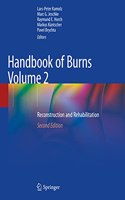 Handbook of Burns Volume 2