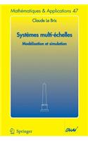 Systèmes Multi-Èchelles