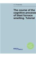 The course of the cognitive processes of blast furnace smelting. Tutorial