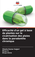 Efficacité d'un gel à base de plantes sur la cicatrisation des plaies dans la parodontite chronique