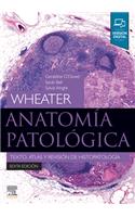 Wheater. Anatomía Patológica