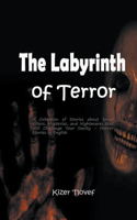 Labyrinth of Terror: A Collection of Stories about Serial Killers, Mysteries, and Nightmares that Will Challenge Your Sanity - Horror Stories in English