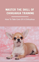 Master The Skill Of Chihuahua Training