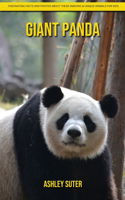 Giant Panda