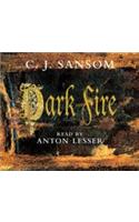 Dark Fire
