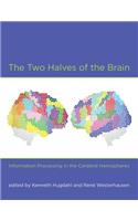 The Two Halves of the Brain
