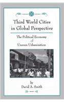 Third World Cities In Global Perspective