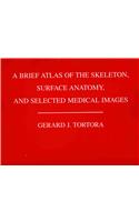 A Brief Atlas of the Human Skeleton, Surface Anatomy and Selected Medical Images