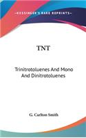 TNT: Trinitrotoluenes And Mono And Dinitrotoluenes: Their Manufacture And Properties (1918)