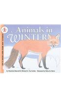 Animals in Winter