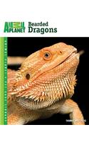 Bearded Dragons
