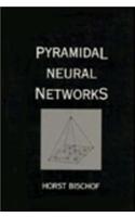 Pyramidal Neural Networks