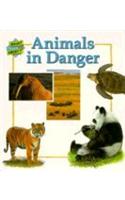 Animals in Danger-What about