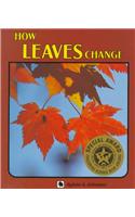 How Leaves Change