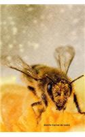 Abeille Carnet de notes