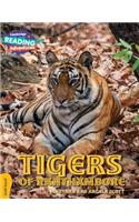 Cambridge Reading Adventures Tigers of Ranthambore Gold Band