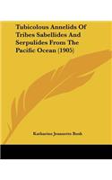 Tubicolous Annelids Of Tribes Sabellides And Serpulides From The Pacific Ocean (1905)