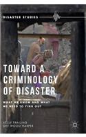 Toward a Criminology of Disaster