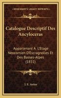 Catalogue Descriptif Des Ancyloceras