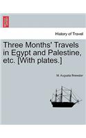 Three Months' Travels in Egypt and Palestine, Etc. [With Plates.]