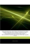 Articles on Flora of Mongolia, Including: Vaccinium Vitis-Idaea, Lythrum Salicaria, Tansy, Bidens Tripartita, Cicuta Virosa, Siberian Pine, Campanula Rotundifolia, Andromeda Polifolia, Wood 