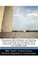 Phenomena Identification and Ranking Table Evaluation of Chemical Effects Associated with Generic Safety Issue 191