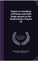 Report on Condition of Woman and Child Wage-earners in the United States Volume 18