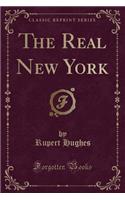 The Real New York (Classic Reprint)