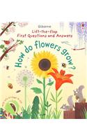 First Questions and Answers: How do flowers grow?: (First Questions and Answers)