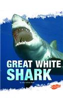 Great White Shark