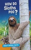 How Do Sloths Poo?