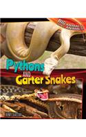 Pythons and Garter Snakes