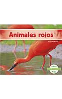 Animales Rojos