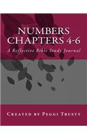 Numbers, Chapters 4-6: A Reflective Bible Study Journal(The Reflective Bible Study)