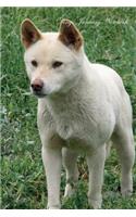 Dingo January Notebook Dingo Record, Log, Diary, Special Memories, To Do List, Academic Notepad, Scrapbook & More