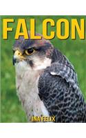 Falcon: Children Book of Fun Facts & Amazing Photos on Animals in Nature - A Wonderful Falcon Book for Kids aged 3-7