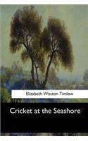 Cricket at the Seashore