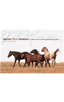 Among Wild Horses