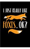 I Just Really Like Foxes Ok