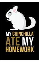 Chinchilla Ate My Homework