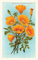 Vintage Journal California Poppies