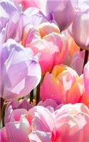 Tulip Mini Notebook: Wide Ruled, Mini Notebook, Blank Notebook, 5 X 8 Inches, Glossy Cover. Can Be Used for Gratitude Journals, Goal Lists, Passwords, and Diaries. Small