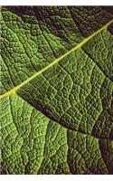 Leaf Veins Notebook: Blank Journal Diary Memoir Log Logue(30 Go Green 150 Lined)