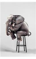 Elephant Notebook
