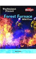 Turbulent Planet: Wild Fires: (Turbulent Planet)