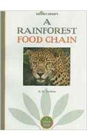 A Rainforest Food Chain