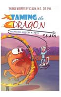 Taming the Dragon