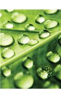 Dew Drop Leaf Grid Sketchbook